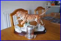Border Fine Arts Siberian Tiger B0988