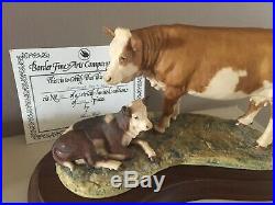 Border Fine Arts Simmental Cow & Calf Limited Edition No 56 With Certs