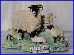 Border Fine Arts Spring Lambing Swaledale Ewe & Lambs No. JH6 by Ray Ayres 1985