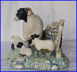 Border Fine Arts Spring Lambing Swaledale Ewe & Lambs No. JH6 by Ray Ayres 1985