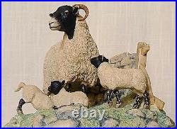 Border Fine Arts Spring Lambing Swaledale Ewe & Lambs No. JH6 by Ray Ayres 1985