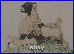 Border Fine Arts Spring Lambing Swaledale Ewe & Lambs No. JH6 by Ray Ayres 1985