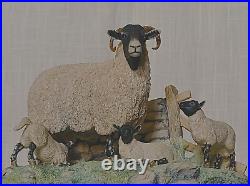 Border Fine Arts Spring Lambing Swaledale Ewe & Lambs No. JH6 by Ray Ayres 1985