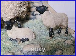 Border Fine Arts Spring Lambing Swaledale Ewe & Lambs No. JH6 by Ray Ayres 1985