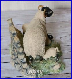 Border Fine Arts Spring Lambing Swaledale Ewe & Lambs No. JH6 by Ray Ayres 1985