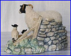 Border Fine Arts Spring Lambing Swaledale Ewe & Lambs No. JH6 by Ray Ayres 1985