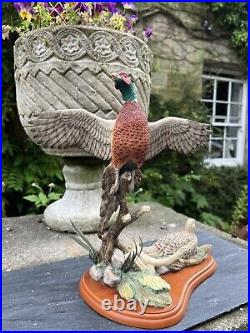 Border Fine Arts Studio Birds by R Roberts'Pheasant' Model A1392 2001