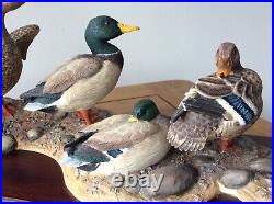 Border Fine Arts Sunny Afternoon 6 Mallard Ducks R Roberts Limited 0312/1250