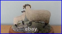 Border Fine Arts'Swaledale Ewe And Lamb, Style One Limited Edition 1027/1250