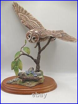 Border Fine Arts Tawny Owl, Russell Willis A4054 -Birds