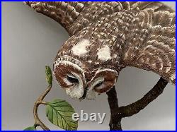 Border Fine Arts Tawny Owl, Russell Willis A4054 -Birds