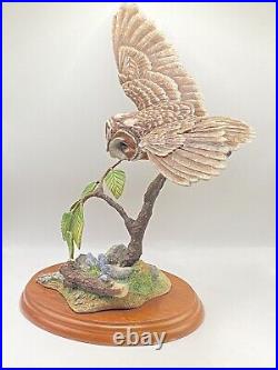 Border Fine Arts Tawny Owl, Russell Willis A4054 -Birds