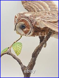 Border Fine Arts Tawny Owl, Russell Willis A4054 -Birds