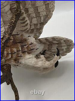 Border Fine Arts Tawny Owl, Russell Willis A4054 -Birds