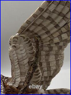 Border Fine Arts Tawny Owl, Russell Willis A4054 -Birds