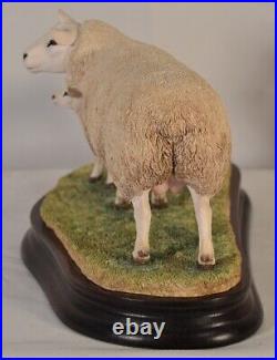 Border Fine Arts Texel Ewe & Lambs B1054 Limited Edition 317 Of 500 Ray Ayres