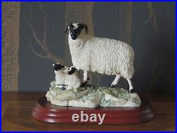 Border Fine Arts The County Show Sculpture Blackface Ewe & Lamb Ray Ayres 1995