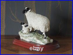 Border Fine Arts The County Show Sculpture Blackface Ewe & Lamb Ray Ayres 1995