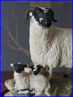 Border Fine Arts The County Show Sculpture Blackface Ewe & Lamb Ray Ayres 1995