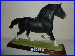 Border Fine Arts WELSH COB (LARGE) B1035 NEWithBoxed/Cert