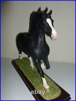 Border Fine Arts WELSH COB (LARGE) B1035 NEWithBoxed/Cert