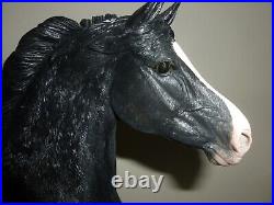 Border Fine Arts WELSH COB (LARGE) B1035 NEWithBoxed/Cert