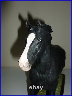 Border Fine Arts WELSH COB (LARGE) B1035 NEWithBoxed/Cert