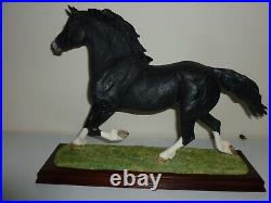 Border Fine Arts WELSH COB (LARGE) B1035 NEWithBoxed/Cert