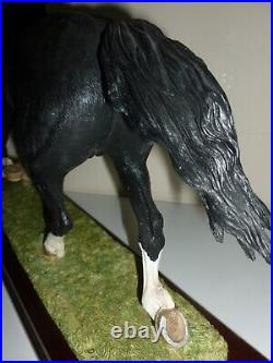 Border Fine Arts WELSH COB (LARGE) B1035 NEWithBoxed/Cert