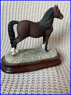 Border Fine Arts Welsh Mountain Pony Bay