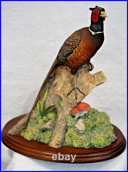 Border Fine Arts Woodland Majesty So62 By David Walton 1996 With C. O. A