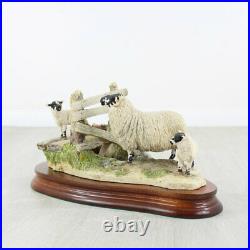 Border Fine Arts Wrong Side of the Fence Sheep Model