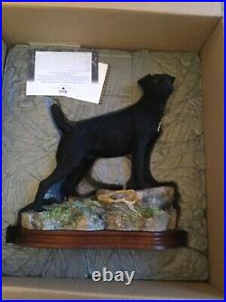 Border fine arts ALERT and READY. PATTERDALE Terrier. BRAND NEW