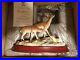 Border_fine_arts_A_GENTLE_MOMENT_Deer_Family_LAST_MEMBERS_PIECE_MADE_01_bbc
