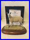 Border_fine_arts_BLUEFACED_LEICESTER_EWE_and_LAMBS_Boxed_01_pl