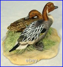 Border fine arts Bird Ducks Very Rare and Early Pintails CL