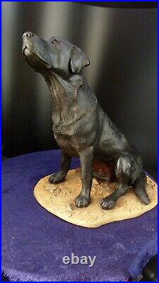 Border fine arts, Large black lab, MT01B, signed margaret turner 21cm, (8.26)