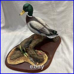 Border fine arts Mallard A0477