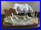 Border_fine_arts_Very_Rare_Horse_Gently_Grazing_By_Ray_Ayres_LTD_EDT_Of_350_01_bih