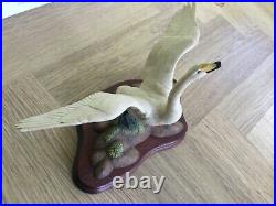 Border fine arts Whooper swan PSO7 used excellent condition boxed