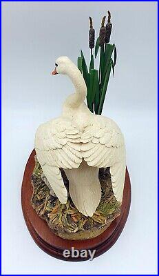 Border fine arts figurine First one in Swan with signets Mint/boxed