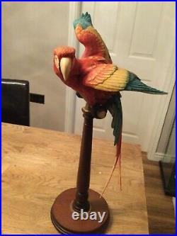 Border fine arts macaw L76 limited to 950 perfect condition in box