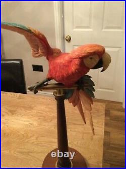 Border fine arts macaw L76 limited to 950 perfect condition in box