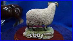 Border fine arts swaledale sheep, 1989 on plinth