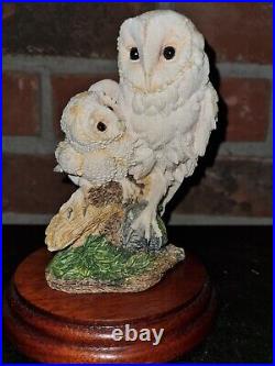 Boxed Border Fine Arts Barn Owl & Chicks Ltd Edition / 537/1250 & Certificate