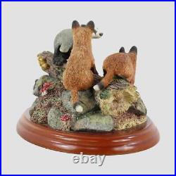 Discovery Border Fine Arts Badger and Fox Cubs