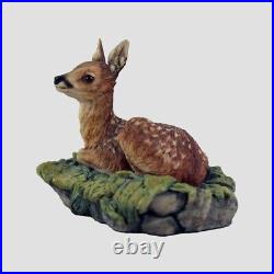 Fawn Border Fine Arts Wildlife