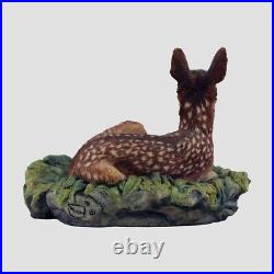 Fawn Border Fine Arts Wildlife