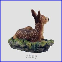 Fawn Border Fine Arts Wildlife