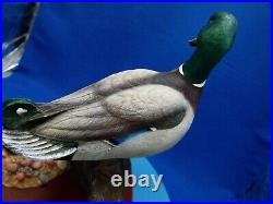 Mallard duck, AO477, water fowl of the world, made in 2000, by don briddell